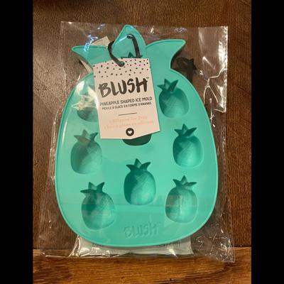 Anthropologie Kitchen | Blush Pineapple Shaped Ice Mold Nib | Color: Blue/Green | Size: Os