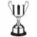 Personalised Swatkins Straight Sided Nickel Plated Presentation Cup Engraved - Enter Your Own Custom Text