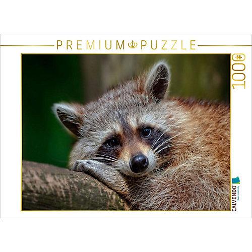 Puzzle CALVENDO Puzzle Drolliger Waschbär - 1000 Teile Foto-Puzzle glückliche Stunden Kinder