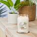 YANKEE CANDLE Signature Coconut Beach Scented Jar Candle Soy, Cotton in White | 6.18 H x 3.7 W x 3.7 D in | Wayfair 1629967