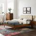 Bridgette Wood Platform Bed w/ Splayed Legs by Modway Wood & Upholstered/Polyester in Brown | 48 H x 79.5 W x 83 D in | Wayfair MOD-6647-WAL-BEI