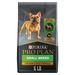 High Protein Chicken & Rice Formula Small Breed Dry Dog Food, 6 lbs.