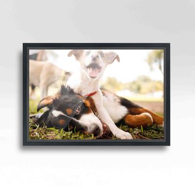 40x26 Black Picture Frame - Wood Picture Frame Complete with UV