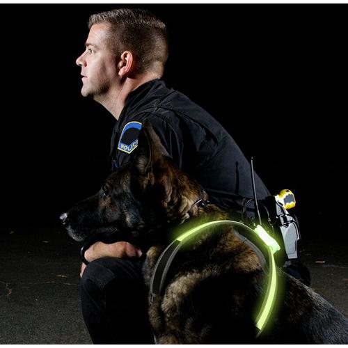 Randaco - Hundegeschirr LED Hunde Welpen-Geschirr Brustgeschirr Leuchtend Ausbruchsicher M