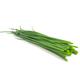 Herb Plants - Chives, Chervil and Sweet Basil - 3 x Large Plants in 9cm Pots - Garden Ready + Ready to Plant - Premium Quality Plants
