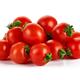 Tomato Plants - 'Tumbling Tom Red' - 6 x Plug Plant Pack - Garden Ready + Ready to Plant - Premium Quality Plants