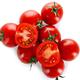 Tomato Plants - 'Tumbling Tom Red' - 6 x Plug Plant Pack - Garden Ready + Ready to Plant - Premium Quality Plants