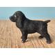 Timpo Flocked Black Spaniel Lead Cast Dog Animal from 'My Pets' Series - Antique Collectable.