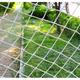 Amacthysh Climbing Net,climbing net for treehouse,kids outdoor play equipment and Safety Net,climbing net for kids,climbing frame accessories,cargo net,1 * 2m/3.3 * 6.6ft
