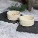 MADE4HOME Ceramic 2-Piece Drink & Feed Pet Bowl set Porcelain/Stoneware (dishwasher safe)/Ceramic | 2.76 H x 5.91 W x 5.91 D in | Wayfair
