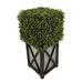 Primrue 10" Artificial Boxwood Topiary in Urn Wood/Plastic/Metal in Black | 22 H x 11 W x 11 D in | Wayfair 0029D65D08FF4B87B0A14A0C93B7F1A6