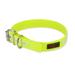 Yellow Play Glow Buckle Dog Collar, Large