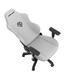 andaseaT Phantom 3 Gaming Chair, Steel in Gray | 52.6 H x 29.1 W x 20.4 D in | Wayfair AD18Y-06-G-F