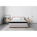 Full Medium 11" Hybrid Mattress - Alwyn Home Battiste | 75 H x 54 W 11 D in Wayfair D9E3F62A873141A4A77475727F23B669