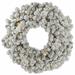 The Holiday Aisle® Artificial Flocked Kodiak Spruce Wreath Traditional Faux in Green/White | 30 H x 30 W x 3 D in | Wayfair HLDY3125 32574703