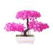 Primrue Plant Mold Lightweight Vivid Exquisite Mini in Planter Plastic in Pink | 8.66 H x 8.66 W x 5.12 D in | Wayfair