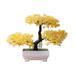 Primrue Plant Mold Lightweight Vivid Exquisite Mini in Planter Plastic in Orange/Yellow | 8.66 H x 8.66 W x 5.12 D in | Wayfair