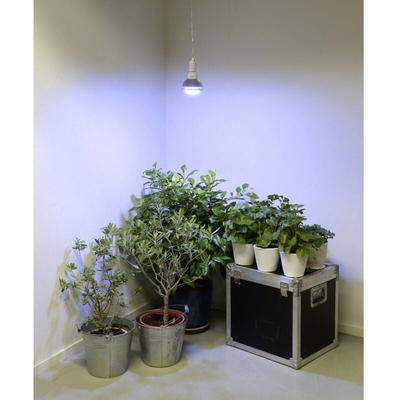 Venso Pflanzenlampe 136 mm 230 v E27 18 w Neutralweiß Reflektor 1 St. Image