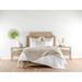 Birch Lane™ Tasmin Velvet Quilt Polyester/Polyfill in White | King Quilt | Wayfair C49FCB7808E74E46BEE12020670D7D7B