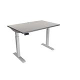 Inbox Zero Lift it Electric Height Adjustable Standing Desk Wood/Metal in Brown/Gray | 48 W x 30 D in | Wayfair 9BAEA980DF804C71A4900CCC80E4D68D