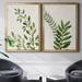 Sand & Stable™ Botanical Wash I - 2 Piece Painting Print Set on Canvas Canvas, Solid Wood in Green | 26.5 H x 73 W x 1.5 D in | Wayfair