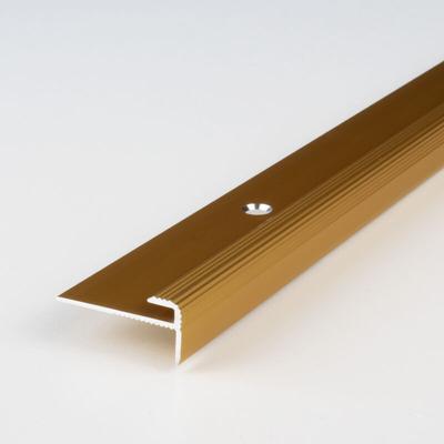 Proviston - Einfassprofil Aluminium eloxiert Goldfarbig Breite 25 mm Höhe 3 mm Länge 1000 mm