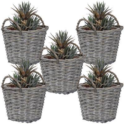 Sunnydaze Set of 5 Willow Wicker Rattan Basket Planters