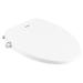 Moen 2-Series Non-Electronic Bidet Seat for Elongated Seats in Plastic Bidets in White | 16.535 H x 3.346 W x 19.31 D in | Wayfair EB500-E