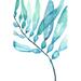 Rosecliff Heights Watercolor Kelp II Metal | 48 H x 32 W x 1.25 D in | Wayfair 0D93BB8AE5B54EA28550BBD2B904FE12