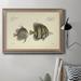 Rosecliff Heights Bloch Antique Fish III - Picture Frame Painting on Canvas Canvas, Solid Wood in White | 24 H x 36 W x 2.5 D in | Wayfair