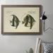 Rosecliff Heights Bloch Antique Fish I - Picture Frame Graphic Art on Canvas Canvas, Solid Wood in White | 24 H x 36 W x 2.5 D in | Wayfair