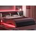 Orren Ellis Violetka Low Profile Platform Bed Upholstered in Black/White | 27.2 H x 63 W x 93.7 D in | Wayfair EA1CC25C4DA04DDEA09EF67A24B71373