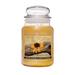 A Cheerful Candle LLC Sunflower and Driftwood Scented Jar Candle Paraffin in Yellow | 7 H x 4 W x 4 D in | Wayfair CC176