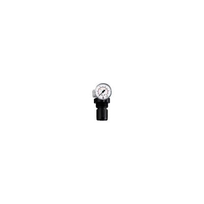 Riegler Druckregler »Standard-mini« inkl. Mano, BG 0, G 1/4, 0,1-3,5 bar Image