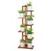 Red Barrel Studio® Rectangular Multi-Tiered Bamboo Plant Stand Wood/Solid Wood in Brown | 48 H x 15.75 W x 8 D in | Wayfair