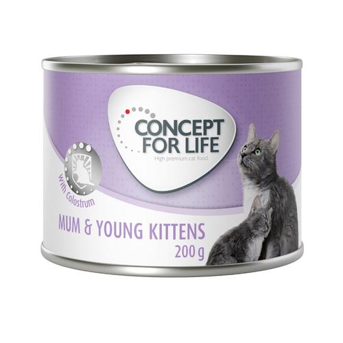 24x 200g Mousse Mum & Young Concept for Life Katzenfutter nass