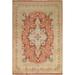 Vegetable Dye Floral Ziegler Oriental Area Rug Handmade Wool Carpet - 8'0" x 10'3"