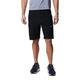 Columbia Herren Triple Canyon II Shorts