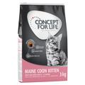 3kg Maine Coon Kitten Concept for Life Katzenfutter trocken