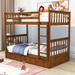 Ehsaan Twin Over Twin 2 Drawer Standard Bunk Bed by Harriet Bee in Brown | 64 H x 42 W x 80 D in | Wayfair 704FA921041B49C7AE2BE827BA9AF5BD