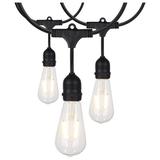 Arlmont & Co. Kerth 24Ft - LED String Light - 12 Vintage ST19 Bulbs Included - 120 Volts in Black | 3.43 H x 288 W in | Wayfair