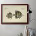 Rosecliff Heights Bloch Antique Fish III - Picture Frame Graphic Art on Canvas Canvas, Solid Wood in Blue/Brown | 18 H x 27 W x 2.5 D in | Wayfair