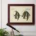 Rosecliff Heights Bloch Antique Fish I - Picture Frame Graphic Art on Canvas in Green | 18 H x 27 W x 2 D in | Wayfair