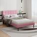 Latitude Run® Tufted Upholstered Low Profile Platform Bed Velvet in Pink/Brown | 41.2 H x 54 W x 76.7 D in | Wayfair