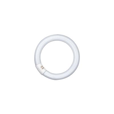 Lumilux T9 22W Sockel G10Q 6500K dimmbar Ringleuchte - Osram Image