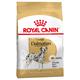 2 x 12 kg Dalmatian Adult Großgebinde Royal Canin Hundefutter trocken