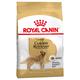 2 x 12 kg Golden Retriever Adult Royal Canin Hundefutter trocken