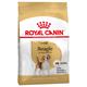 2 x 12 kg Beagle Adult Royal Canin Hundefutter trocken