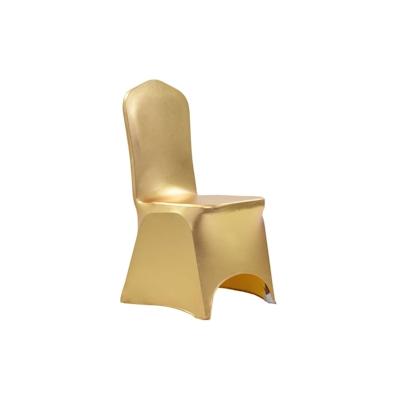 vidaXL 6 Stk. Stretch-Stuhlhussen Golden