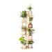 Red Barrel Studio® Bamboo 6 Tiers 7 Pot Plant Stand Multi Pot Rack Shelf Indoor Outdoor Flower Pot Display Stand Unit For Courtyard Garden Corner Balcony Living Room Wood/Solid Wood | Wayfair